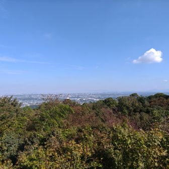 山頂からの景色１