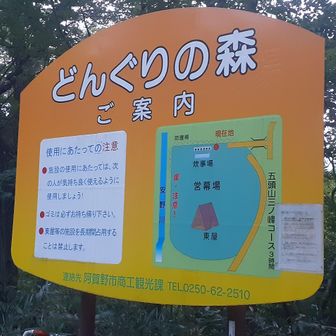 どんぐりの森