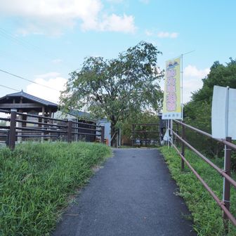 無事に戻りました😊
