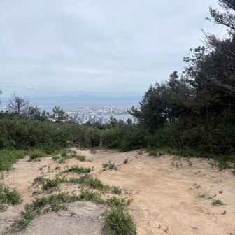 鍋蓋山までは激降りからの登り返しらしいので、足攣った状態では無理だし諦めて下山します🫥
