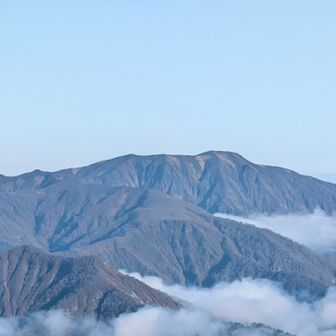 浅草、手前に前毛猛
あっちの草原もいい感じに見える