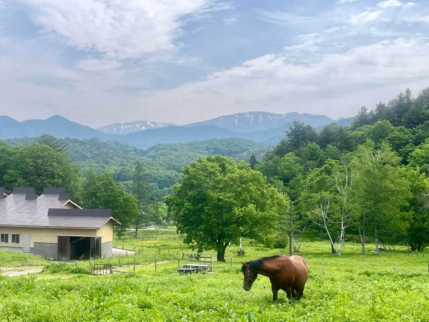 近く迄寄って来てくれました🎶