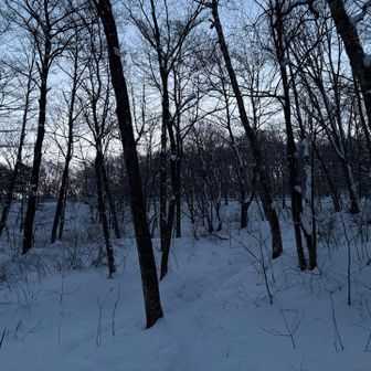 🌅まで山頂で待つのも寒そうだから小屋でひと休みしようかと思ってうろうろしていたら
後ろから
『もう行った方がいいよ』と優しい声が
よかった〜ヒトが来た〜！