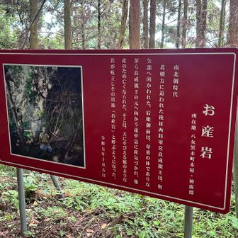 下に岩🪨ありました。覗いただけ