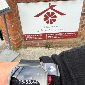 山頂からこみんかみかんまでハーフトレラン。
およそ16分でペースは登りの2.5倍だが、心拍数は同じくらいでキープ。