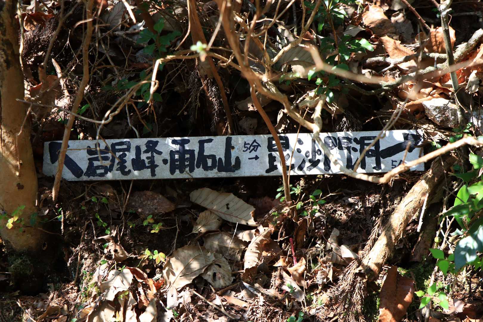 毘沙門洞はこっちですか👉