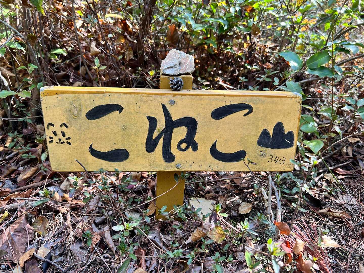 分かりにくい、こねこピーク