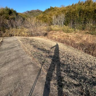 夕陽に照らされた私の影です😅