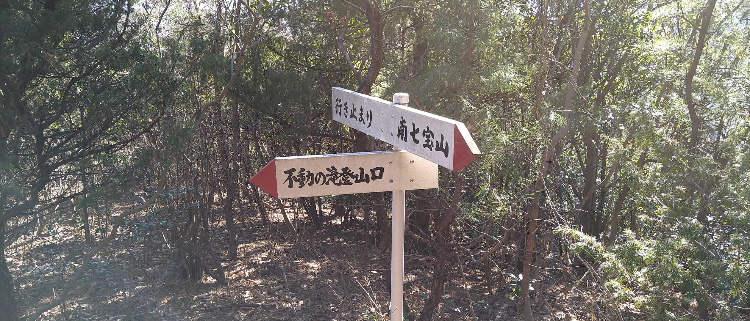 林道に降ります👍