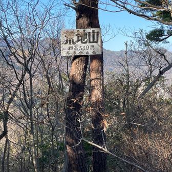 葉が落ちたので梢の間から、おたふく山や六甲山頂が見えてワクワク