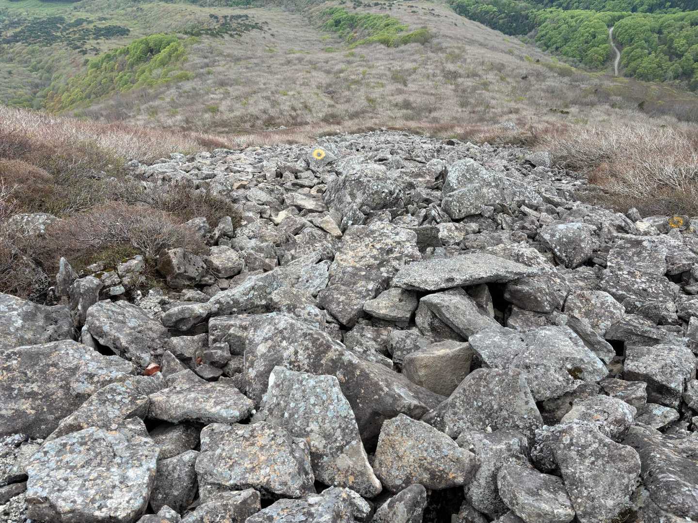下山は、第一ガレ場を降りました
浮石あるので、慎重に！