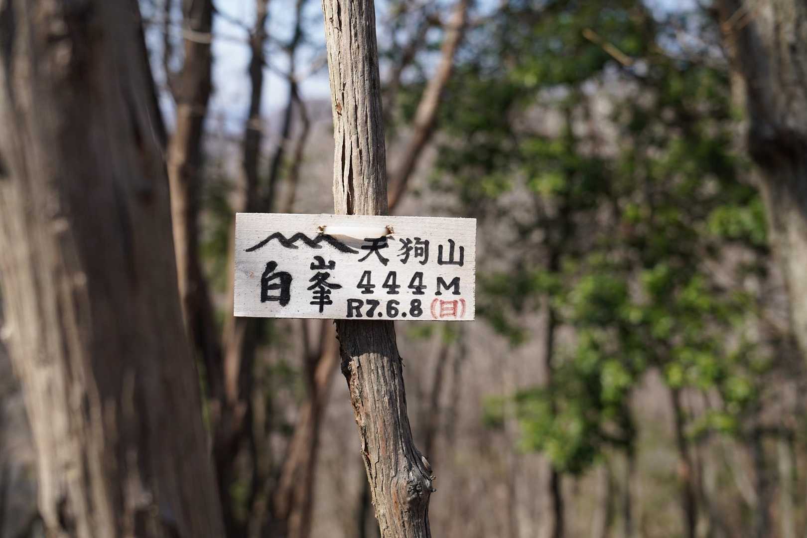 吉川峠-青貝山-天台山-光明山-妙見山 周回コースの写真