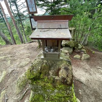達磨大師