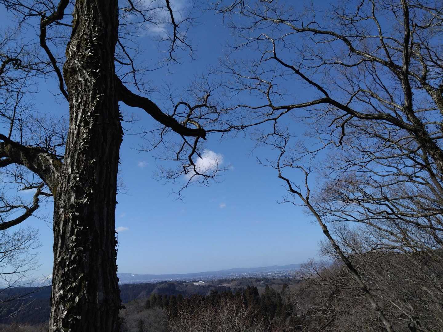 今日の🔹青空🔹にかかる雲☁は
JOJOの🔹青空🔹の雲☁みたいです。