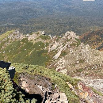 向こうは、中条岳
YAMAPでは山頂マークがついてるから
行く人もいるみたい
道もないのに山頂にしないで欲しい
遭難と自然破壊を助長するだけ😩
