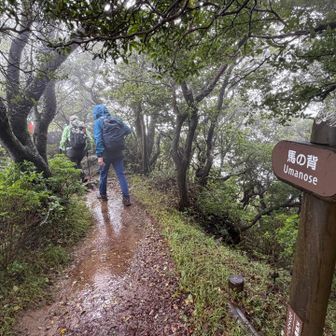 馬の背の標識があったので身構えましたが、想像上にフラットな道です。