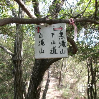尾根に着く
