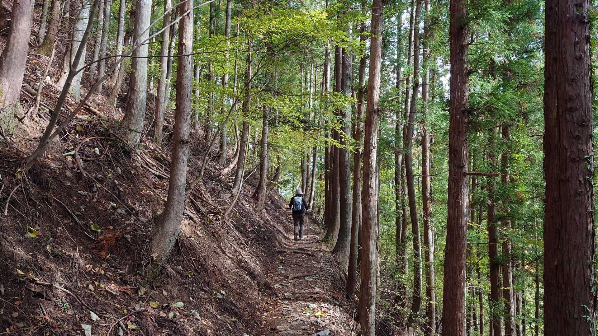 日向大谷コースの写真