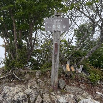 漸く山頂