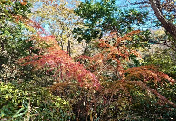 タタラ山の最新登山情報 / 人気の登山ルート、写真、天気など | YAMAP