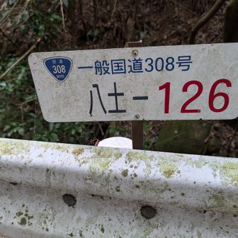 ここは一般国道308