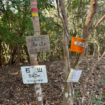 「石山」標識いっぱい