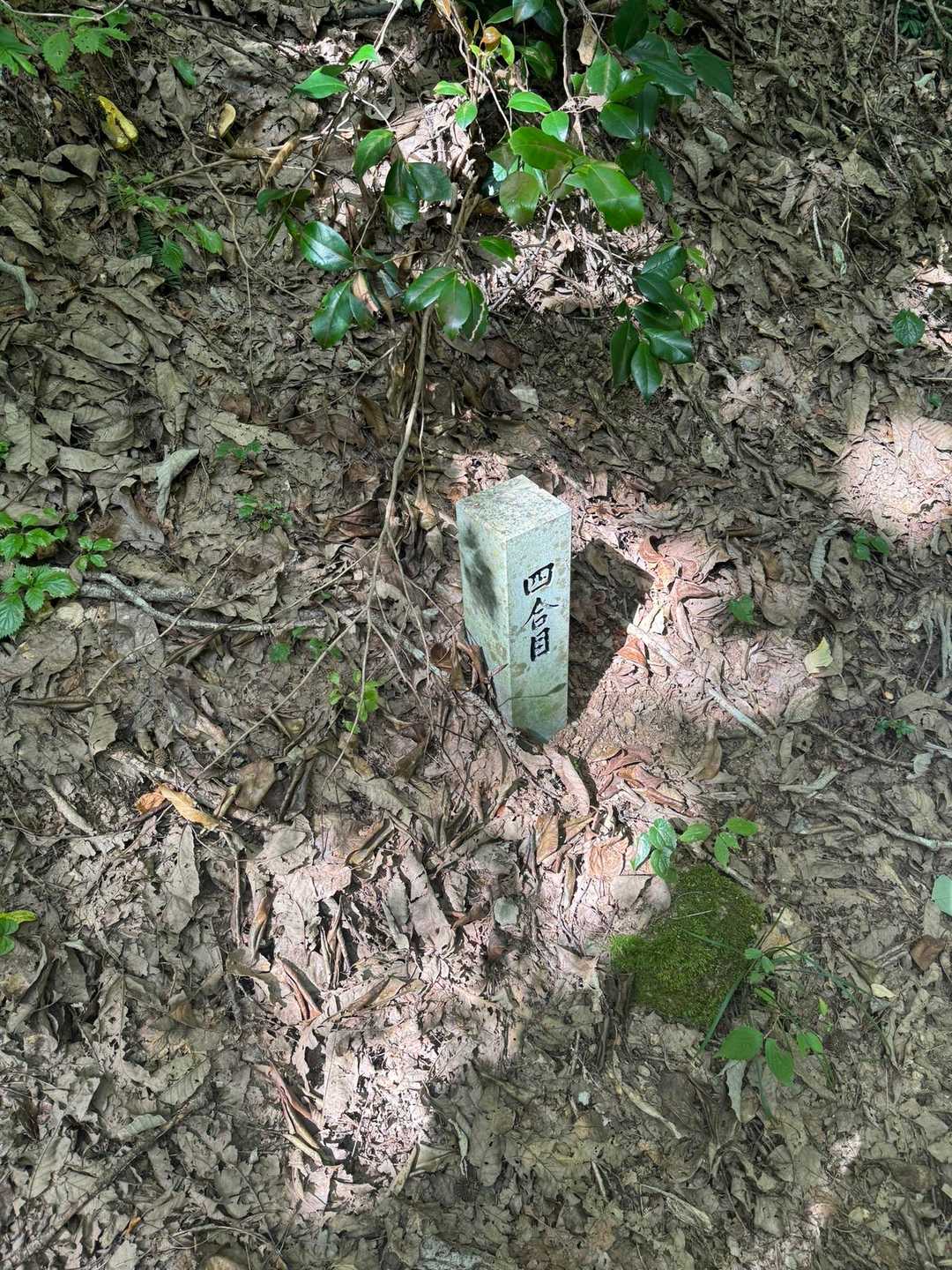四合目👀