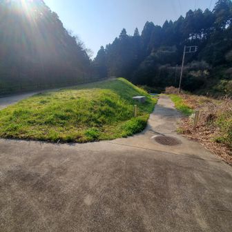 左の道を登る。