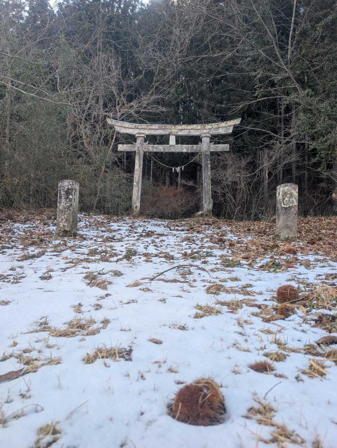よろしくお願いします🙇