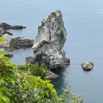 展望所から目る上立神岩。
鳥の巣が見える。