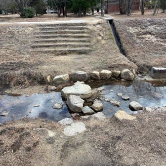 ところ変わって砂防公園🛝