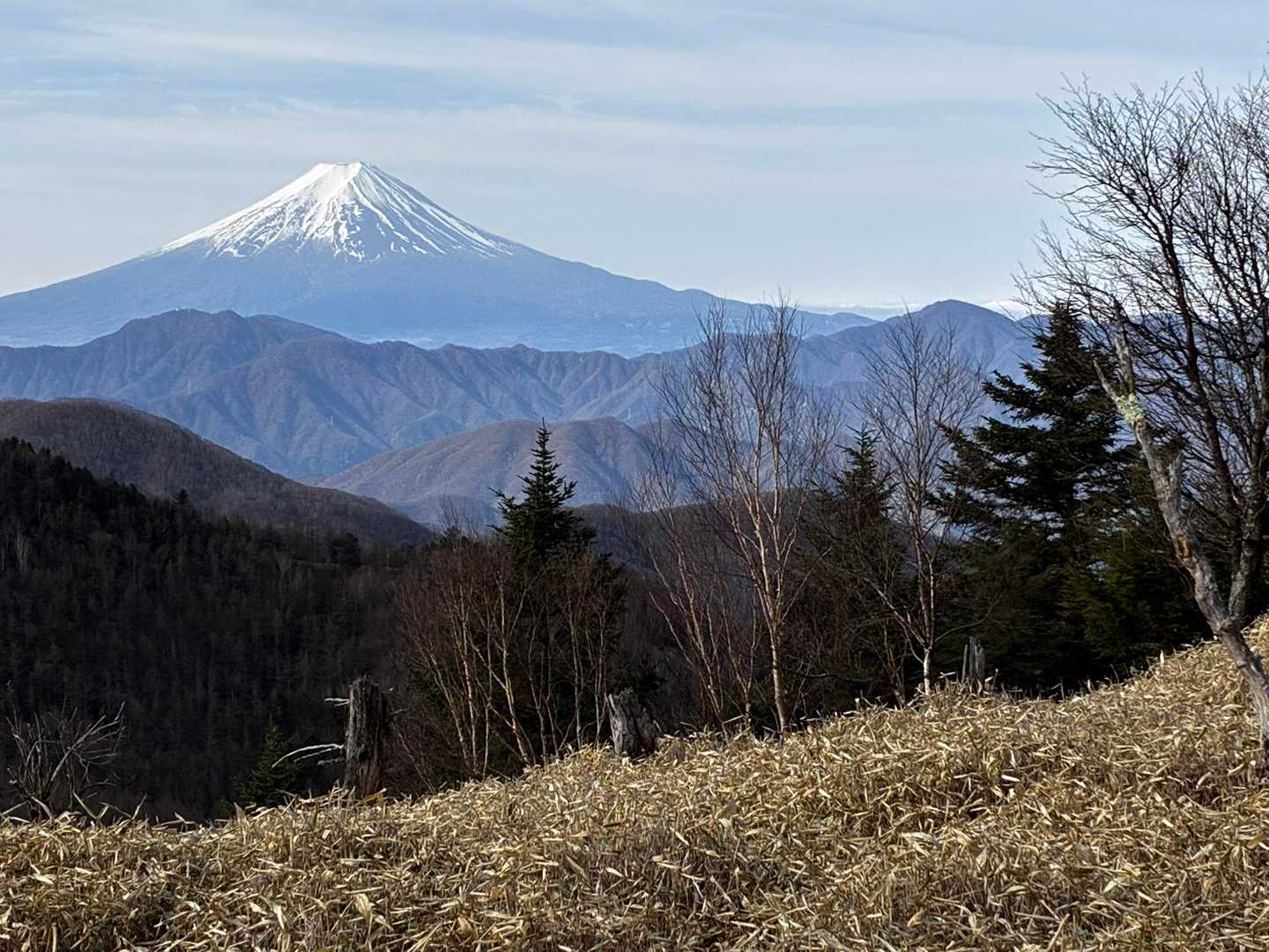 写真を撮りながら登ります．