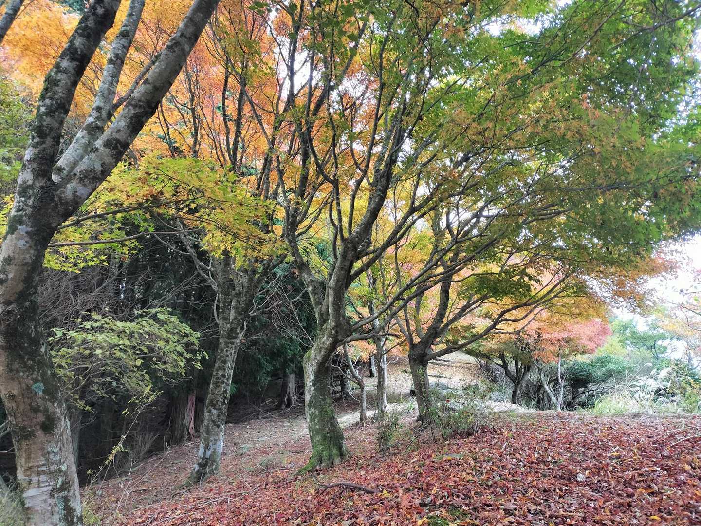 戻り道
