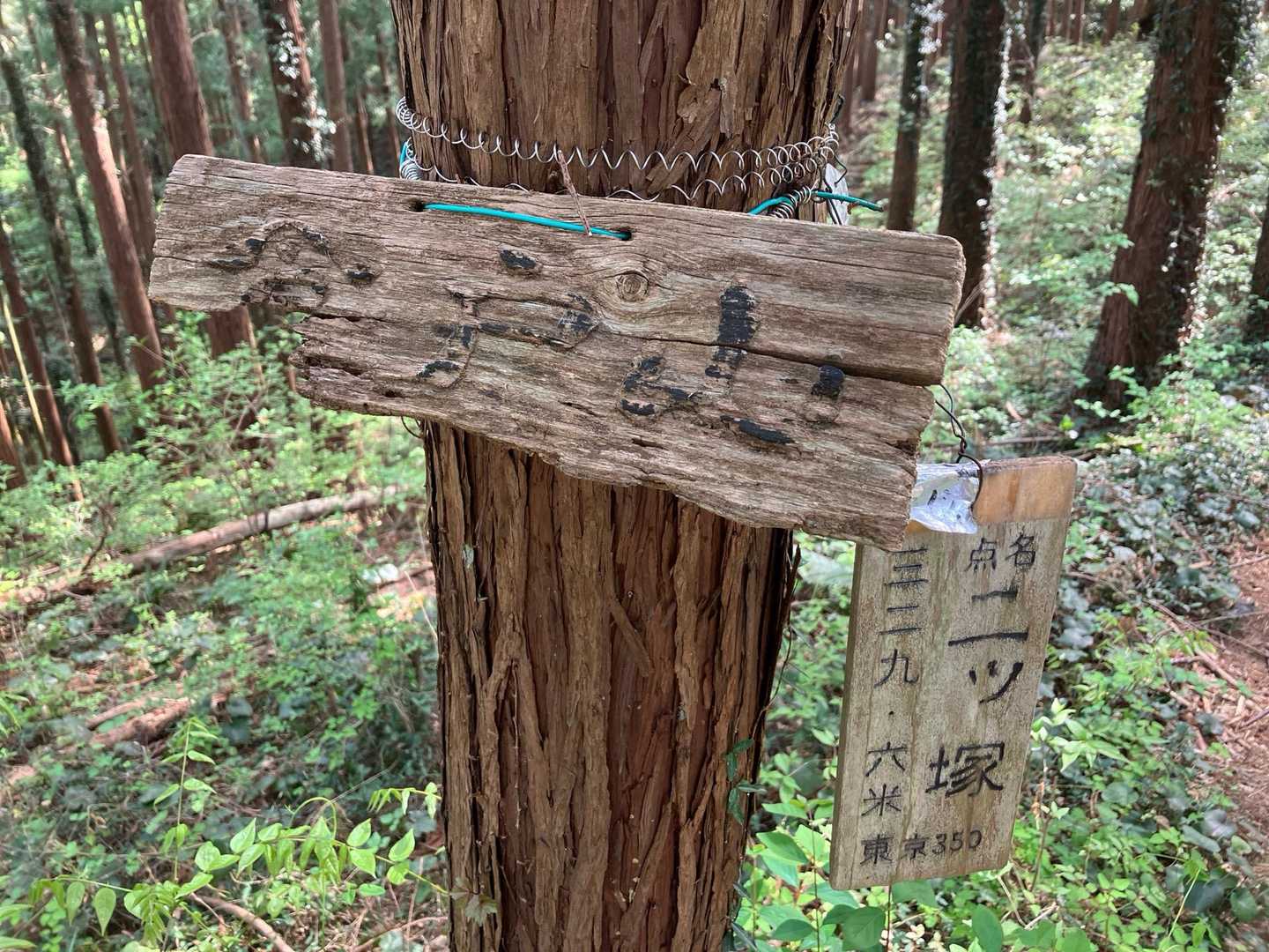 倉戸山です。