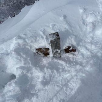 剣ヶ峰山頂の標識🪧と思しき物
他の方の活動日記にもありましたが、雪に埋まってます⛄️
誰かがその都度掘り出してくれてるのかな？