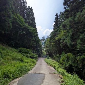 それでは林道をひたすら下ります