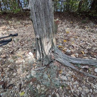 モンローリップ発見