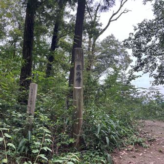 このあたり、ゴルフ場の脇。楽しい　ナイスショット〰️みたいな声がきこえます😊