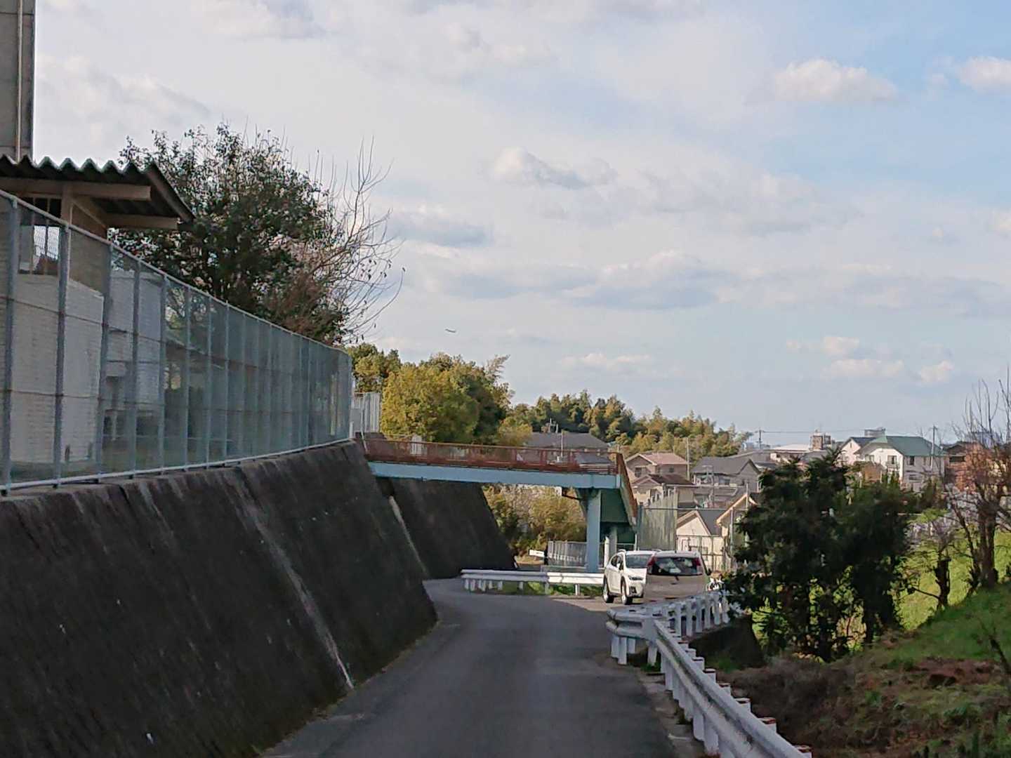 帰って来ました。