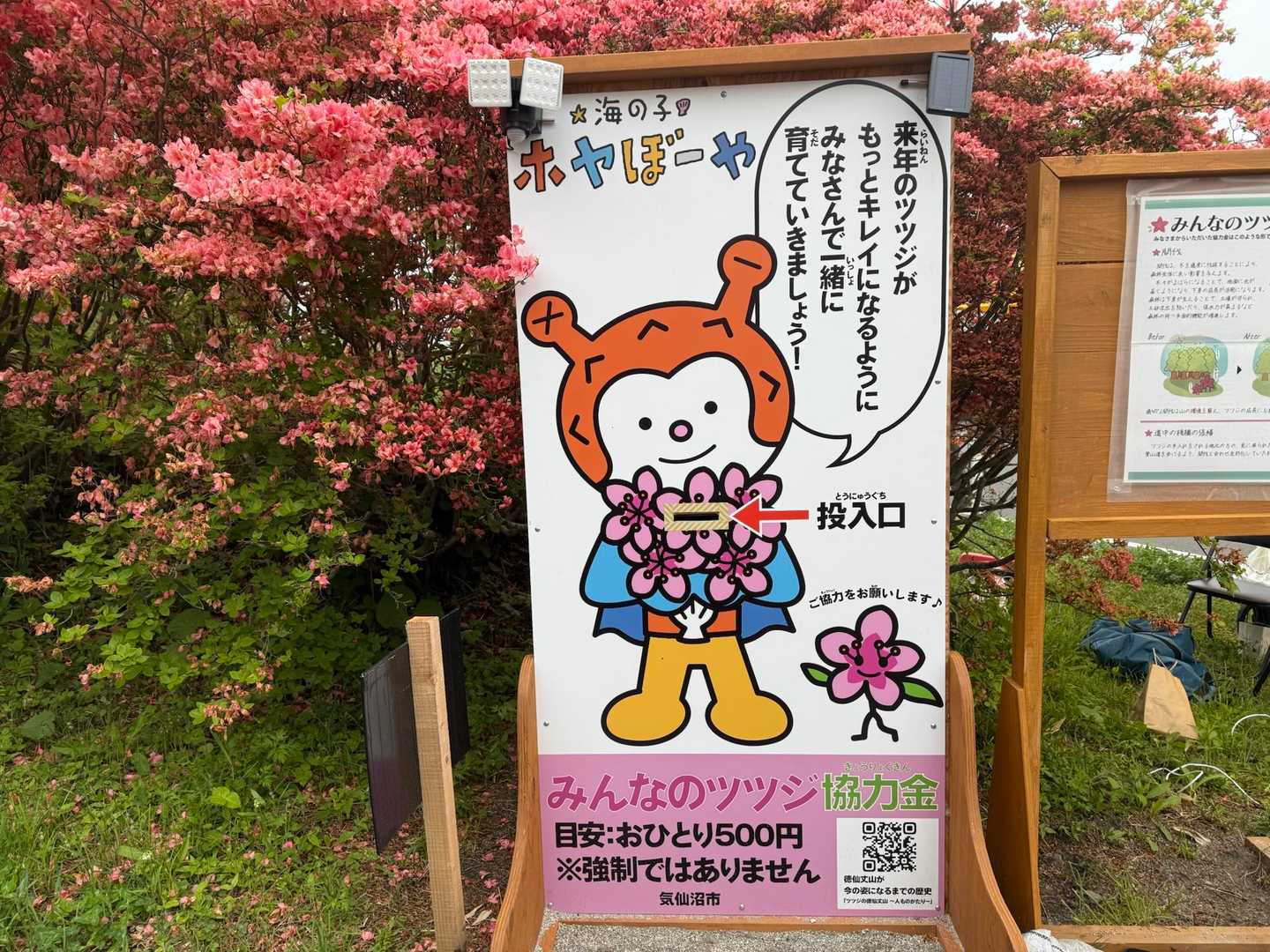スタート🌺