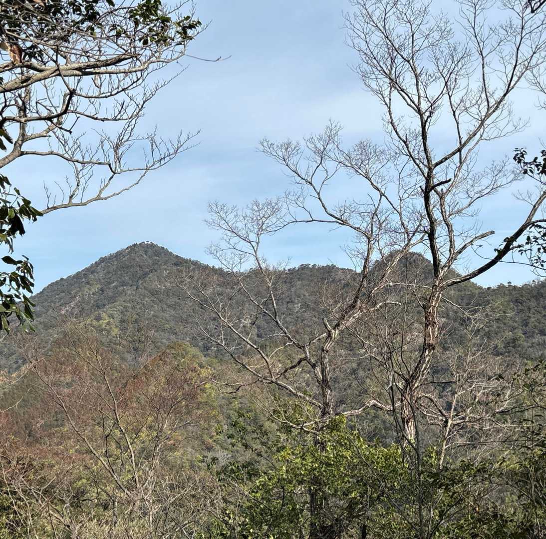 展望台からの景色