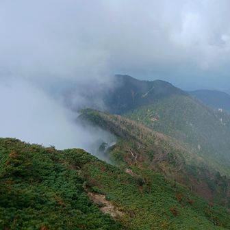 振り返ると稜線が雲の壁になってる。眼下に越百小屋。