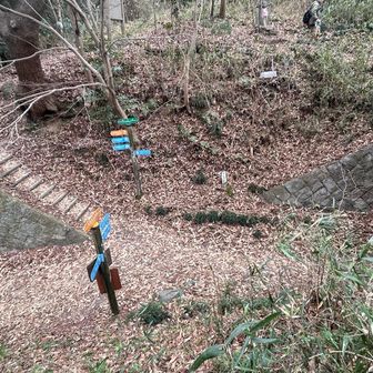 いろいろ交差する道