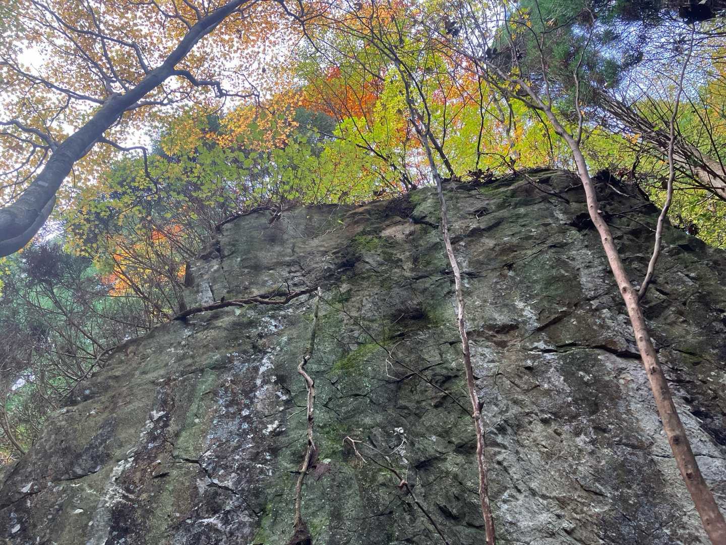 途中、ミニ障子岩っぽい岩あります