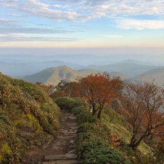 下山開始。尾根道コースも紅葉は進んでいた