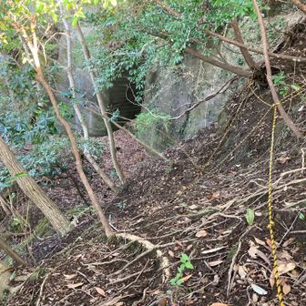 振り返り　すでに猿モードで登ってます🐒
ロープありがたい🙏