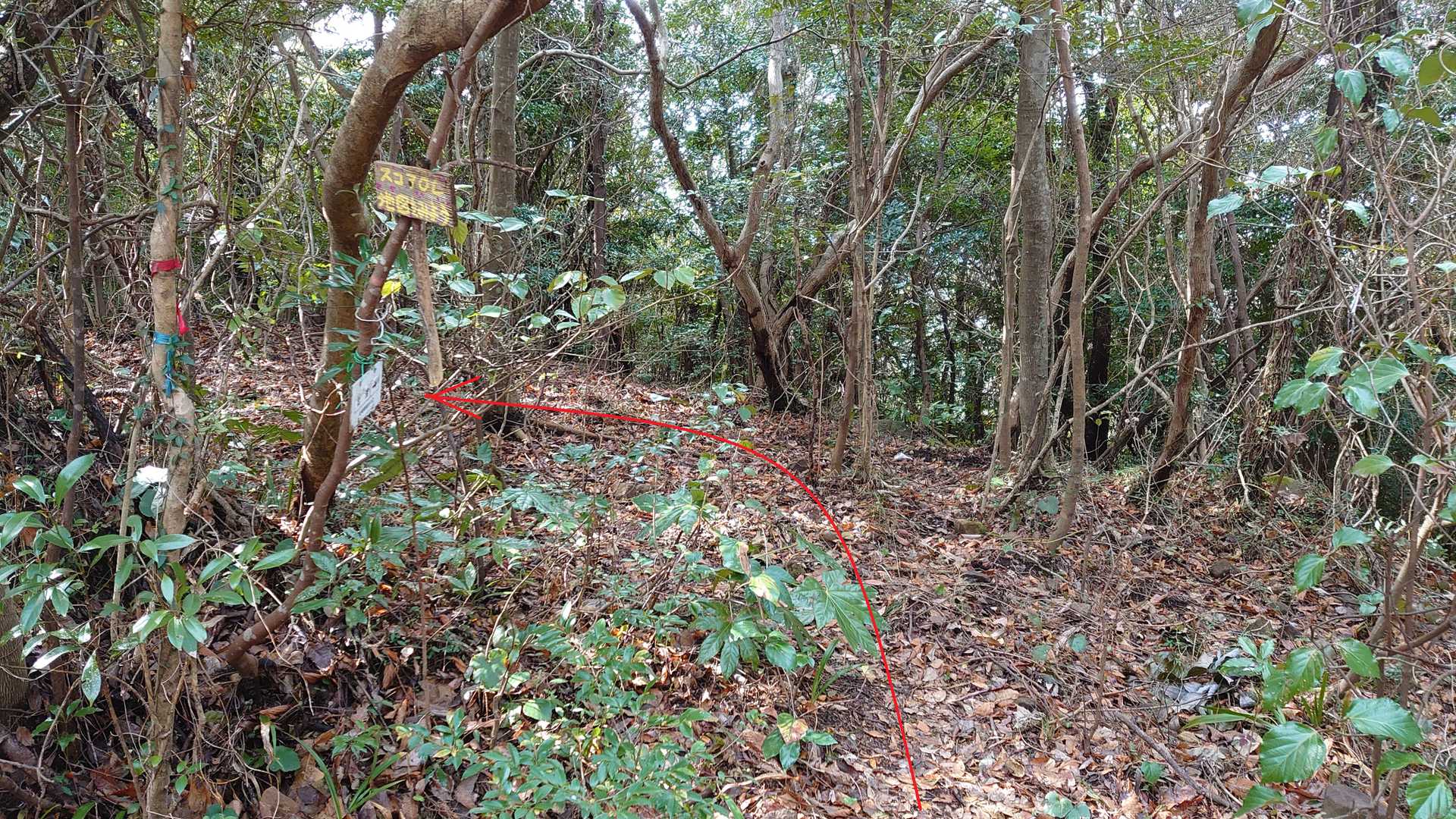 十字分岐を北浦町方向へ行く。