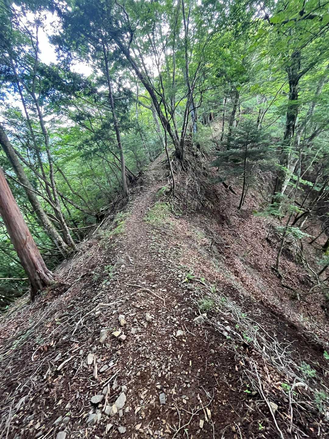 明神峠-明神山-湯船山-白クラノ頭 往復コースの写真