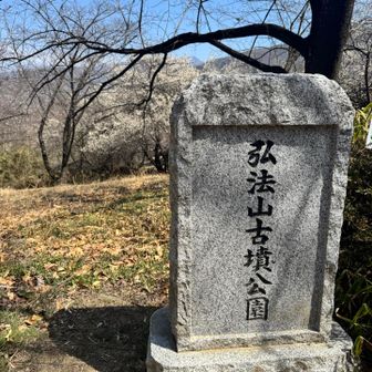 ここなら友達も登れるだろう。
すぐだからね！