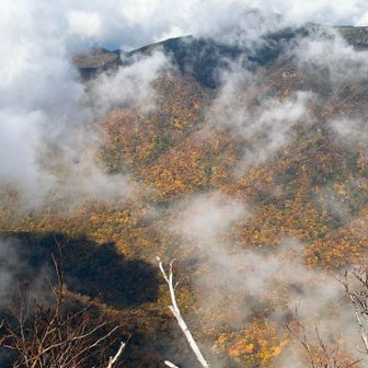 ピークから見る対面の山肌の紅葉が
すばらしかった！